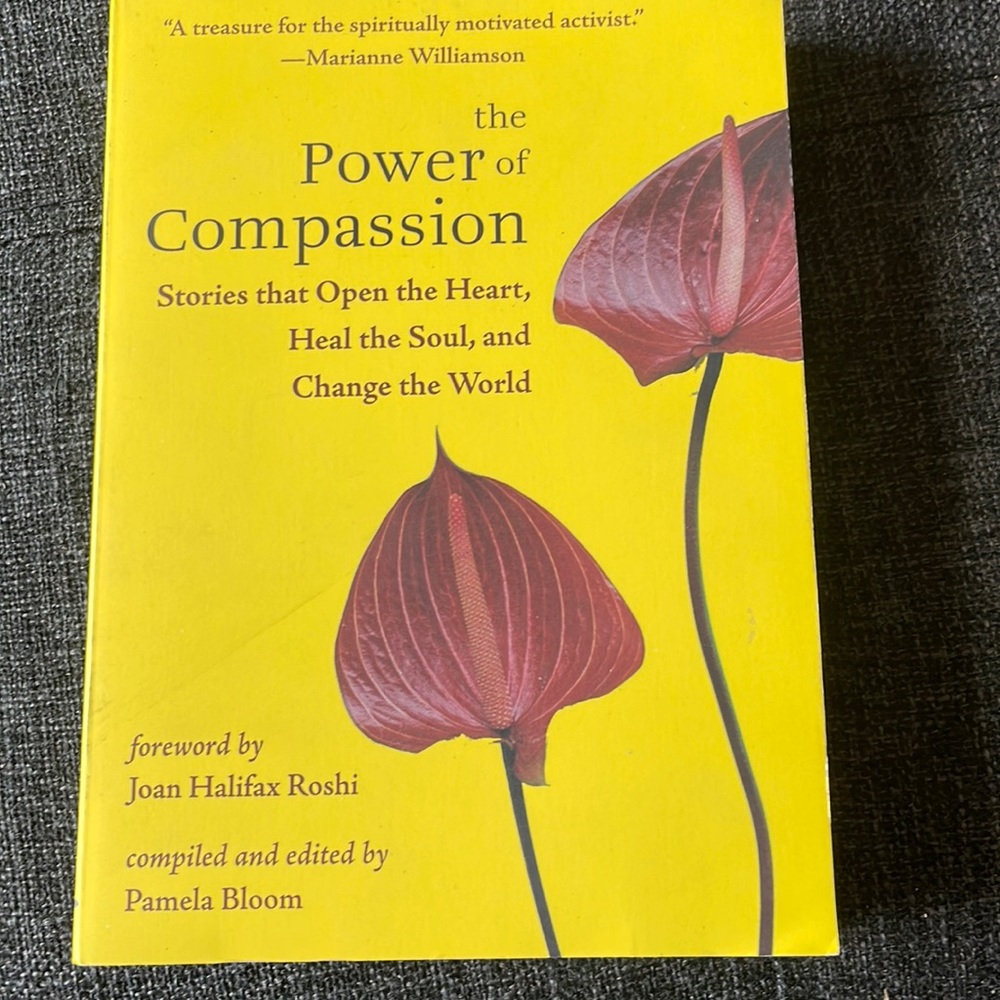 Power of Compassion book